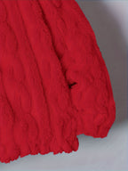 Plus Size - Autumn Winter Warm Thick Fleece Hooded Sweatshirt, Loose Casual Jacket, Coral Fleece Material, Plus Size Women'S Jacket/Winter Coat, Plus Size Women'S Outerwear, Elegant Women'S Shawl - Red