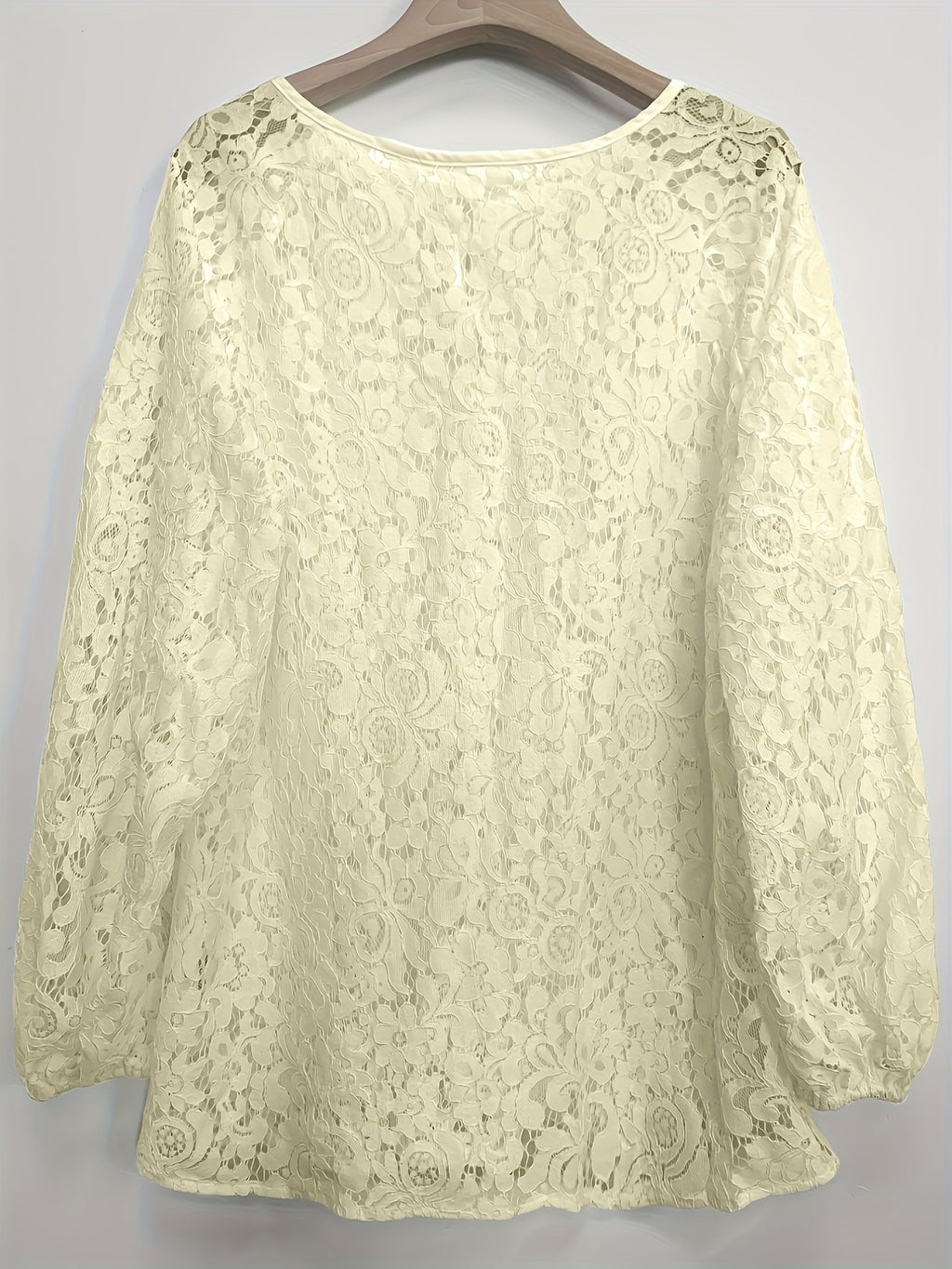 Ladies' clothing, casual fashion, elegant, transparent, solid color long sleeved, lace, solid color shirt - Apricot