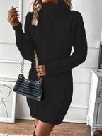 New Autumn/Winter Fashionable Sexy High-Neck Ribbed Dress - Black