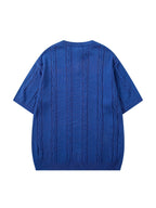 Spring Summer Men'S Unisex Casual Loose Easy Twisted Rope Pattern All-Match Business Commute Vacation Elegant Temperament Solid Color Round Neck Knit Top Button-Up Half-Open Placket Pullover Short Sleeve T-Shirt Knit Top Blue Sweater Back to School - Blue